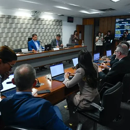 delegação brasileira quer estratégia conjunta do mercosul